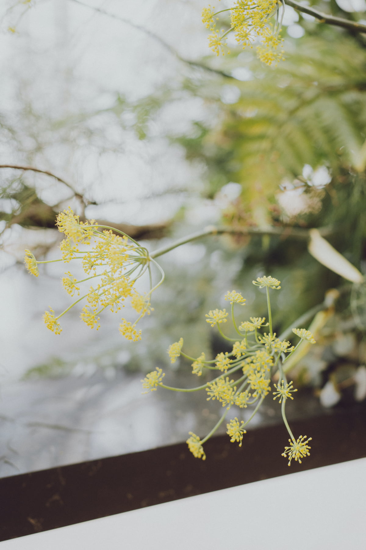 1-Atico Styled Shoot